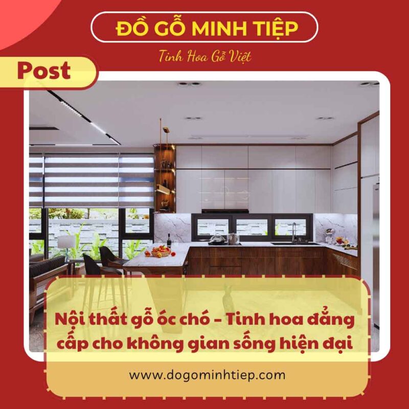 nội thất gỗ óc chó cao cấp
