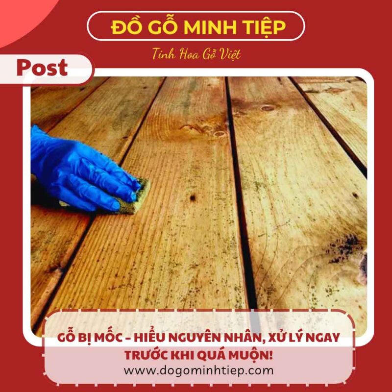 khắc phục gỗ bị mốc