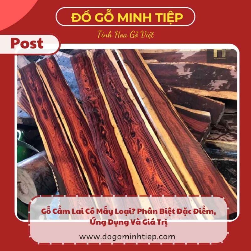 gỗ cấm lai