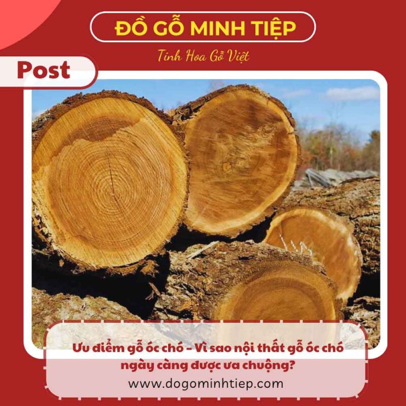ưu điểm của gỗ óc chó