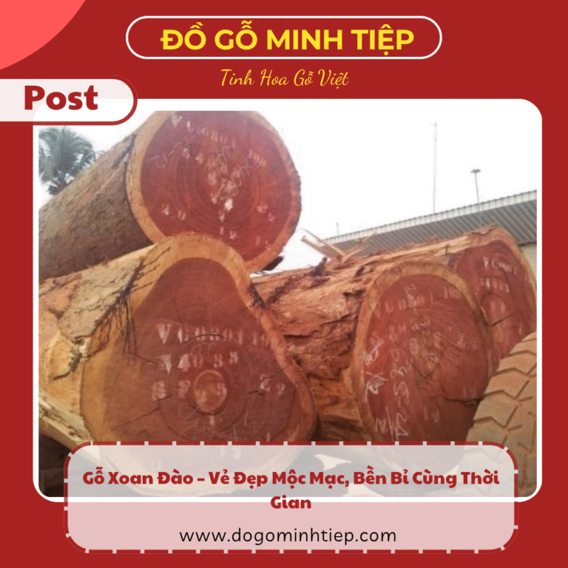 gỗ xoan đào