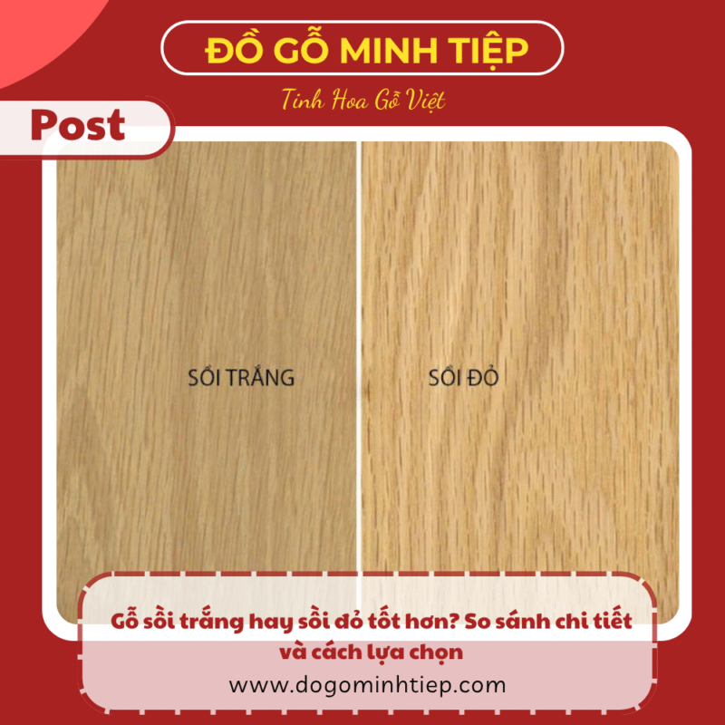 Gỗ sồi trắng hay sồi đỏ tốt hơn