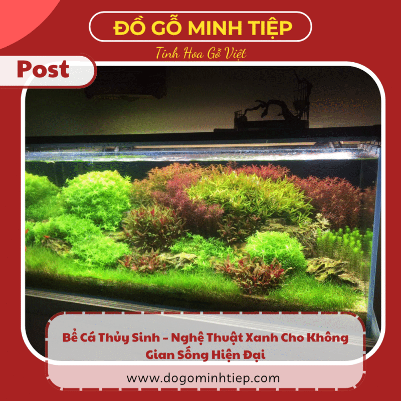 bể cá thủy sinh
