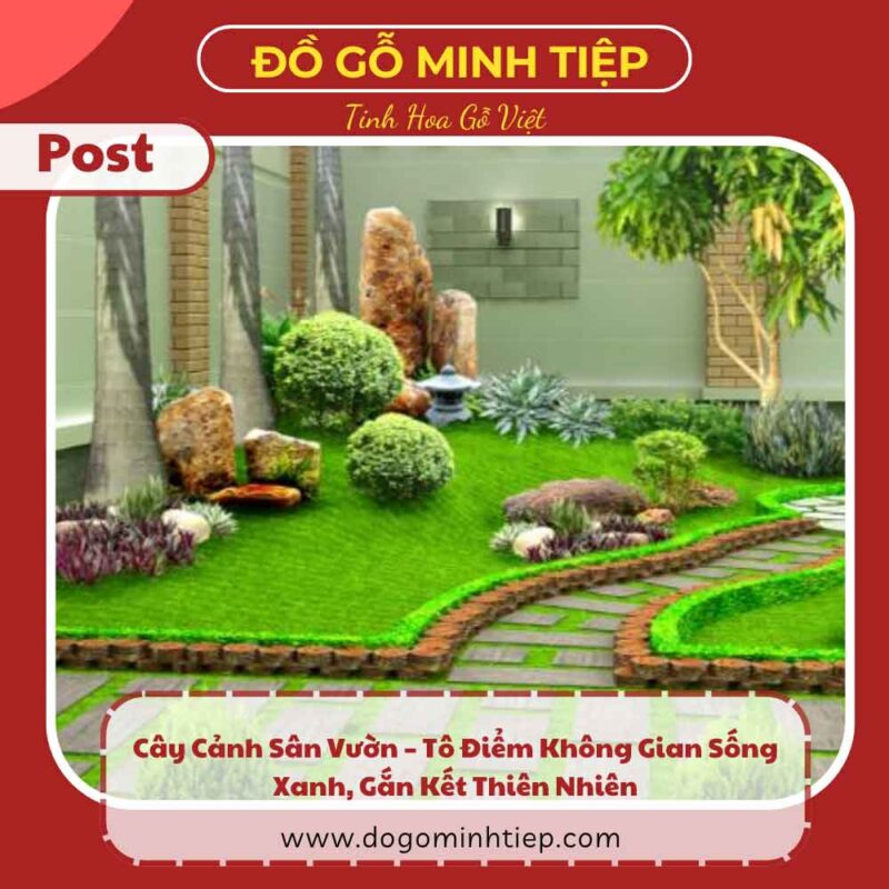 cây cảnh sân vươn