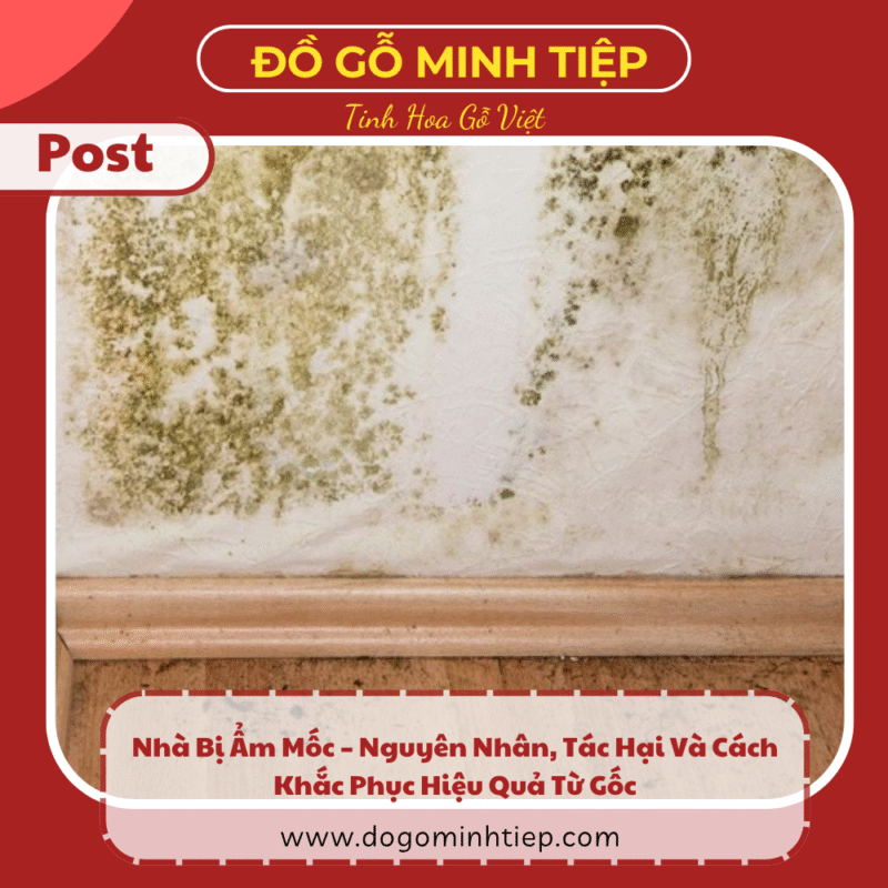 nhà ẩm mốc