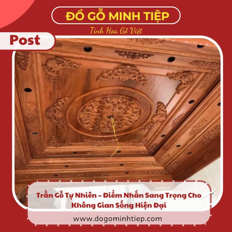 trần gỗ tự nhiên