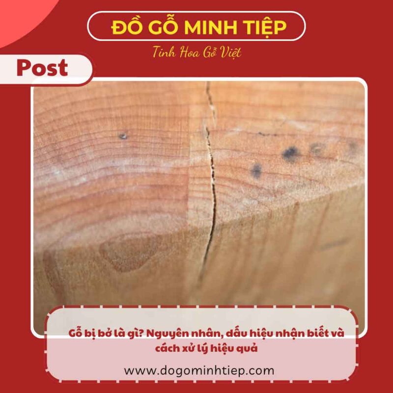 gỗ bị bở