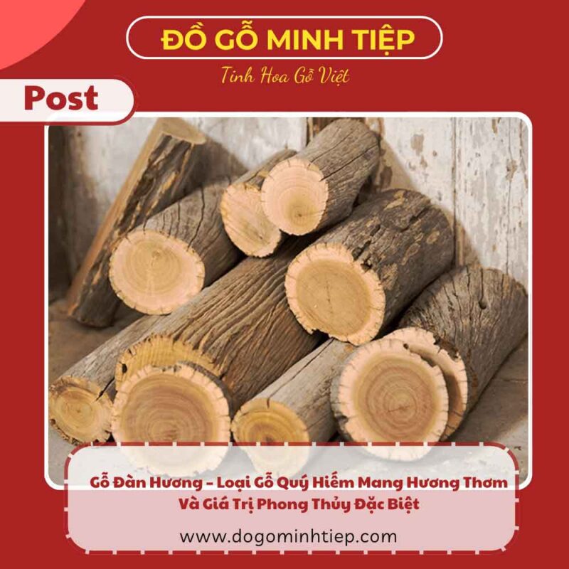 gỗ đàn hương
