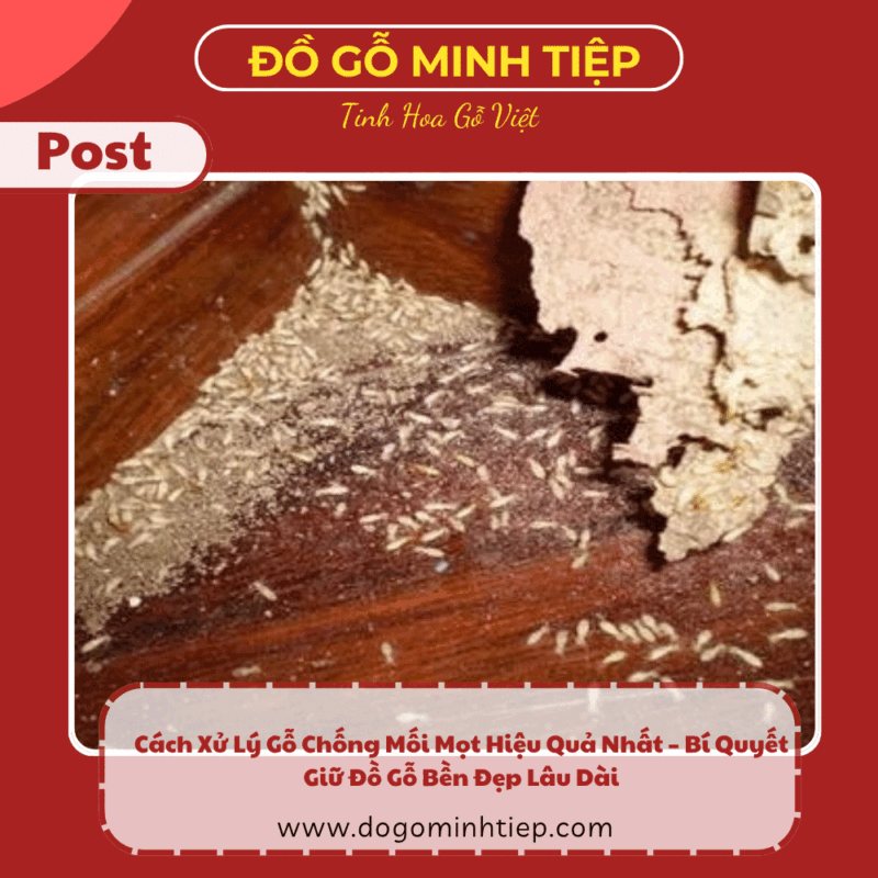 Cách Xử Lý Gỗ Chống Mối Mọt Hiệu Quả Nhất