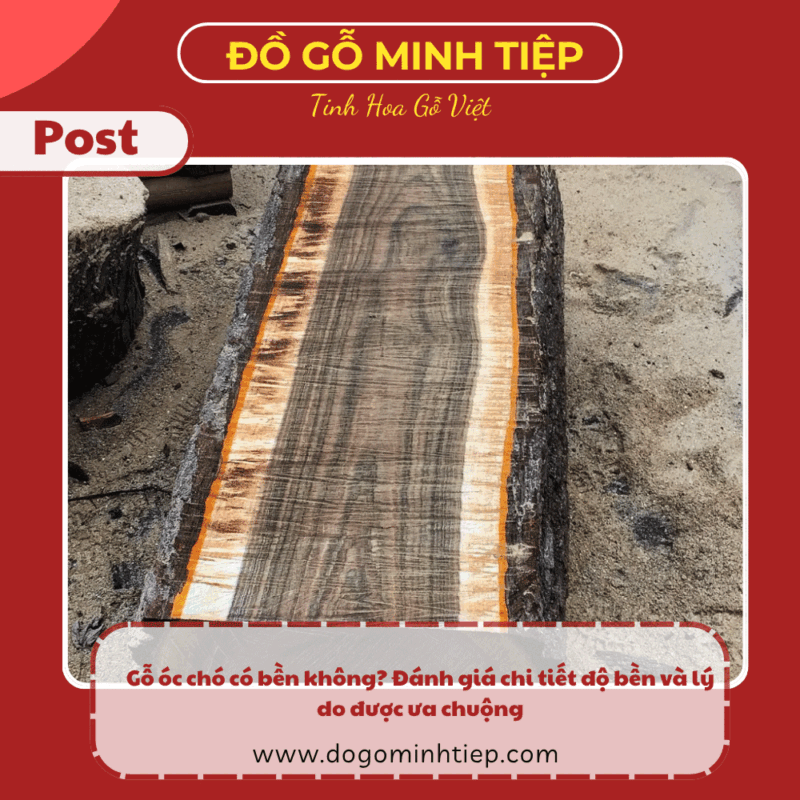 gỗ óc chó