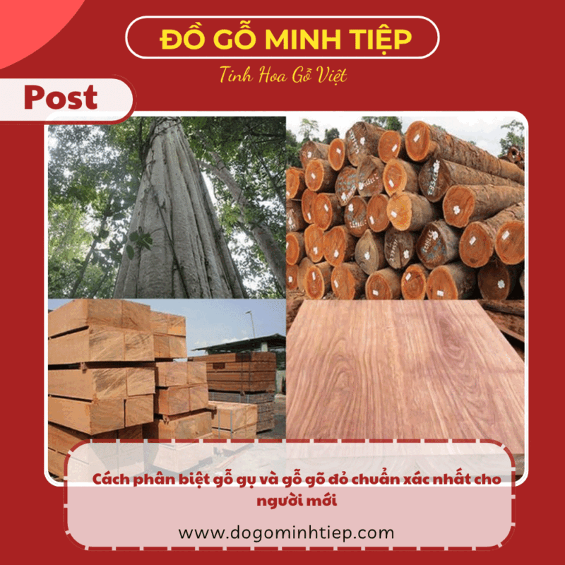 gỗ gụ và gỗ gõ đỏ